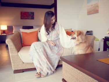沖縄県 愛犬と泊まれる部屋のあるペット可能なホテルランキング