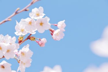 全国旅行支援 2023年4月以降も延長決定！GWは除外 予約開始日はいつ？